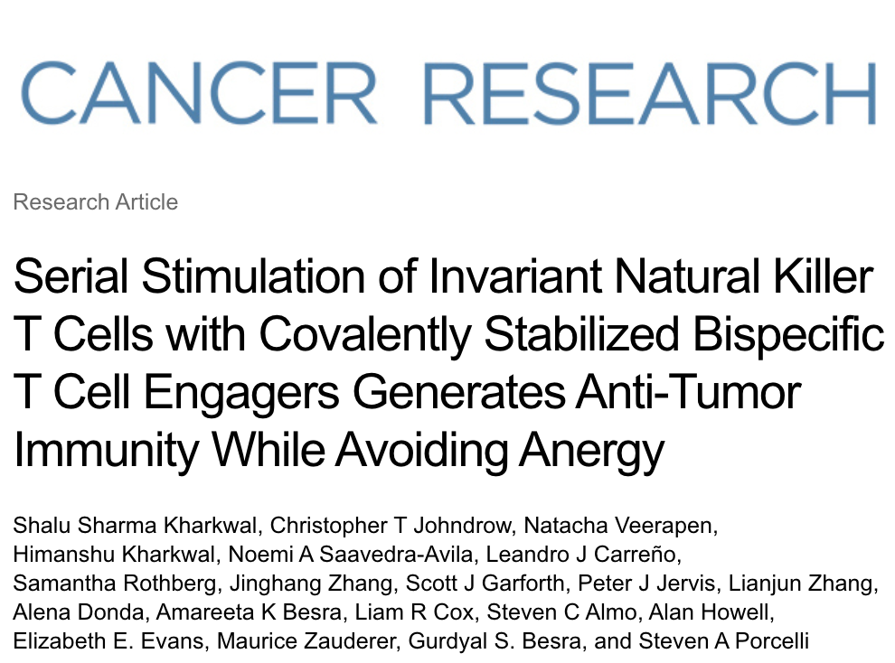 Serial Stimulation of Invariant Natural Killer T Cells with Covalently ...