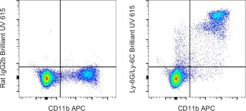 Ly-6G/Ly-6C Monoclonal Antibody (RB6-8C5), Brilliant Ultra Violet™ 615