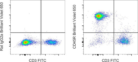 CD45R (B220) Monoclonal Antibody (RA3-6B2), Brilliant Violet™ 650