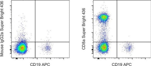 CD8a Monoclonal Antibody (OKT8 (OKT-8)), Super Bright™ 436