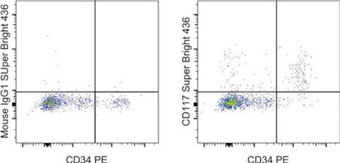 CD117 (c-Kit) Monoclonal Antibody (104D2), Super Bright™ 436