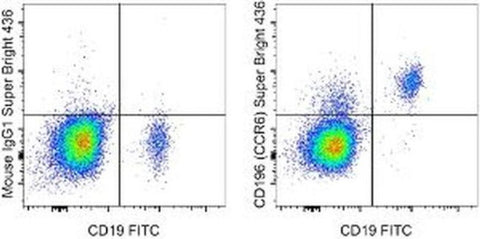 CD196 (CCR6) Monoclonal Antibody (R6H1), Super Bright™ 436