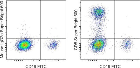 CD8a Monoclonal Antibody (OKT8 (OKT-8)), Super Bright™ 600