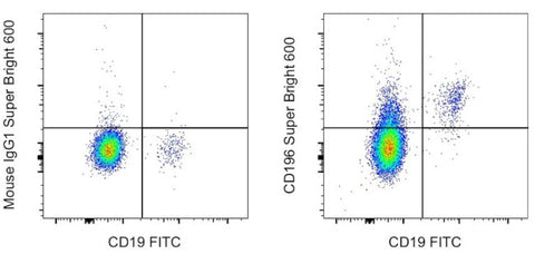 CD196 (CCR6) Monoclonal Antibody (R6H1), Super Bright™ 600