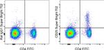 CD25 Monoclonal Antibody (PC61.5), Super Bright™ 702