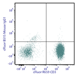 cFluor<sup>®</sup> B515 Anti-Human CD226 (DNAM-1) (DX11)