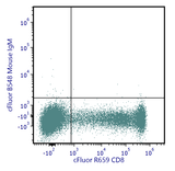 cFluor<sup>®</sup> B548 Anti-Human CD57 (NK-1)
