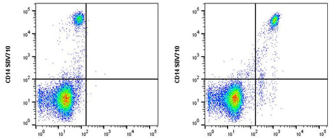 cFluor<sup>®</sup> UV440 anti-Human CD33 (WM53)