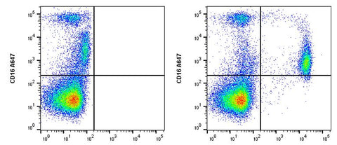 cFluor<sup>®</sup> UV570 anti-Human CD14 (TÜK4)