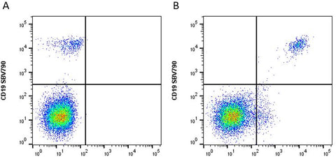 cFluor<sup>®</sup> V435 anti-Human CD20 (2H7)