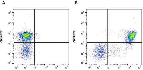 cFluor<sup>®</sup> V780 anti-Mouse CD45R (B220) (RA3-6B2)