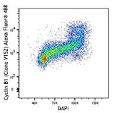 Alexa Fluor® 488 anti-Cyclin B1