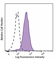 Alexa Fluor® 488 anti-human CD115 (CSF-1R)
