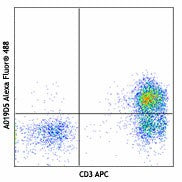Alexa Fluor® 488 anti-human CD127 (IL-7Rα)