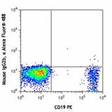 Alexa Fluor® 488 anti-human CD196 (CCR6)