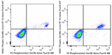Alexa Fluor® 647 anti-HDAC1 Phospho (Ser406)