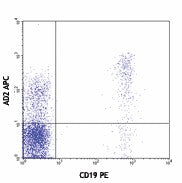 APC anti-human CD73 (Ecto-5'-nucleotidase)