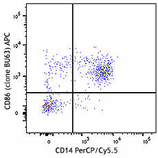 APC anti-human CD86