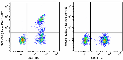 APC anti-human TCR Cβ1