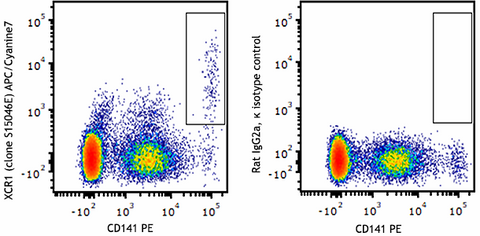 APC/Cyanine7 anti-human XCR1
