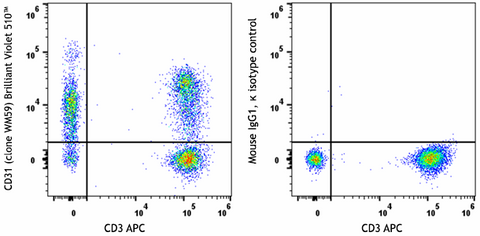 Brilliant Violet 510™ anti-human CD31