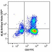Brilliant Violet 570™ anti-human IFN-γ