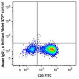 Brilliant Violet 570™ anti-human IFN-γ