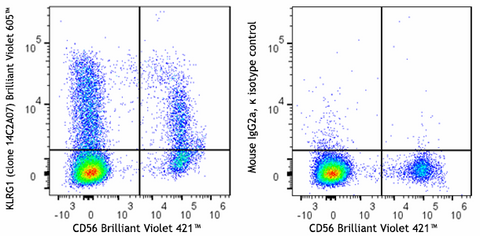 Brilliant Violet 605™ anti-human KLRG1 (MAFA)