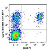 Brilliant Violet 650™ anti-human CD196 (CCR6)