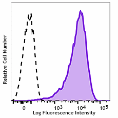 Brilliant Violet 650™ anti-human CD90 (Thy1)