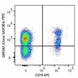 FITC anti-human GPR183 (EBI2)