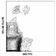 FITC anti-mouse Ly-49A