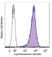 PE anti-human CCX-CKR (CCRL1)
