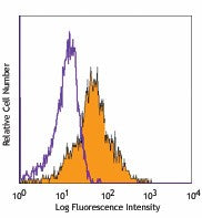 PE anti-human CD166