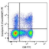 PE anti-human Granzyme K