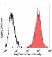 PE anti-human PSMA (FOLH1)