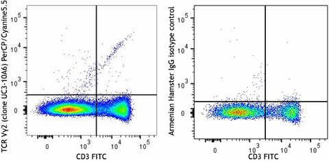 PerCP/Cyanine5.5 anti-mouse TCR Vγ2