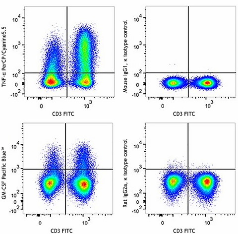 Veri-Cells™ Activated (Cytokine) PBMC