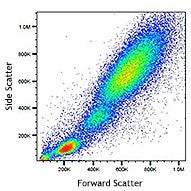 Veri-Cells™ Leukocytes