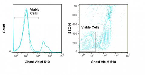 LEFT: Mouse thymocytes were incubated overnight at 4°C (dashed) or 37°C (solid) and stained with Ghost Violet 510.  RIGHT:  Mouse splenocytes were stimulated overnight with PMA and stained with Ghost Violet 510. Viable gate is indicated.