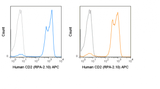 APC Anti-Human CD2 (RPA-2.10)