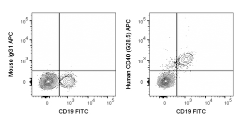 Human peripheral blood lymphocytes were stained with FITC Anti-Human CD19 (35-0199) and 5 uL (0.25 ug) APC Anti-Human CD40 (20-0410) (right panel) or 0.25 ug APC Mouse IgG1 isotype control (left panel).