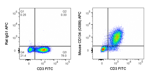 C57Bl/6 splenocytes were stimulated for 3 days with ConA and then stained with FITC Anti-Mouse CD3 (35-0031) and 0.125 ug APC Anti-Mouse CD134 (20-1341) (right panel) or 0.125 ug APC Rat IgG1 (left panel).