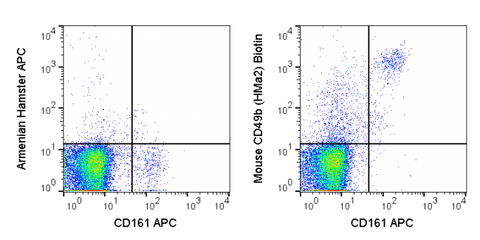 C57Bl/6 splenocytes were stained with APC Anti-Mouse NK1.1 (CD161) (20-5941) and 0.03 ug Biotin Anti-Mouse CD49b (30-0491) (right panel) or 0.03 ug Biotin Armenian Hamster IgG isotype control (left panel) followed by Streptavidin PE.