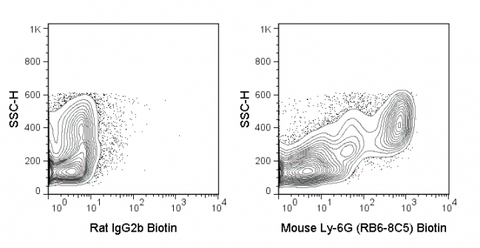 C57Bl/6 bone marrow cells were stained with 0.06 ug Biotin Anti-Mouse Ly-6G (30-5931) (right panel) or 0.06 ug Biotin Rat IgG2b isotype control (left panel) followed by Streptavidin FITC.