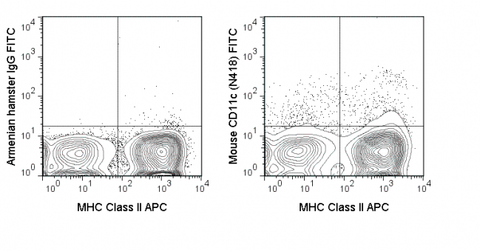 C57Bl/6 splenocytes were stained with APC Anti-Mouse MHC Class II (20-5321) and 0.25 ug FITC Anti-Mouse CD11c (35-0114) (right panel) or 0.25 ug FITC Armenian Hamster IgG (left panel).