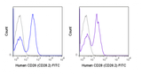 FITC Anti-Human CD28 (CD28.2)