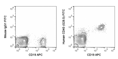 Human peripheral blood lymphocytes were stained with APC Anti-Human CD19 (20-0199) and 5 uL (0.5 ug) FITC Anti-Human CD40 (35-0410) (right panel) or 0.5 ug FITC Mouse IgG1 isotype control (left panel).
