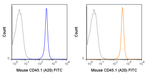 FITC Anti-Mouse CD45.1 (A20)