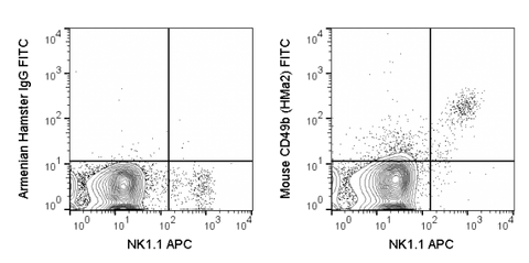 C57Bl/6 splenocytes were stained with APC Anti-Mouse NK1.1 (CD161) (20-5941) and 0.25 ug FITC Anti-Mouse CD49b (35-0491) (right panel) or 0.25 ug FITC Armenian Hamster IgG isotype control (left panel).